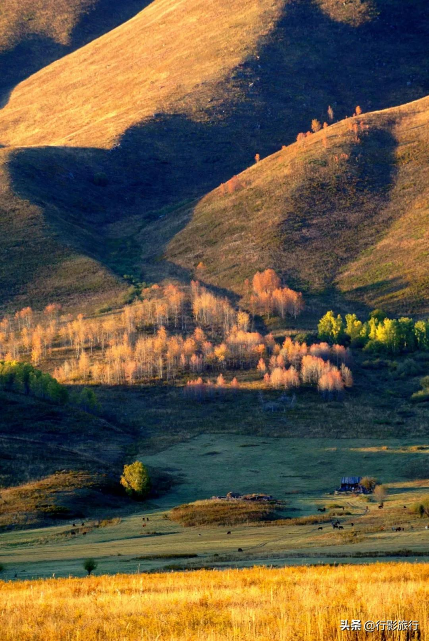 北疆旅游（关于北疆的赏秋地）