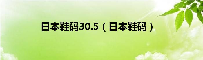 日本鞋码30.5（日本鞋码）