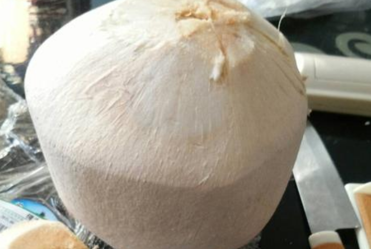 老椰子怎么打开取肉（椰子的正确打开方法）